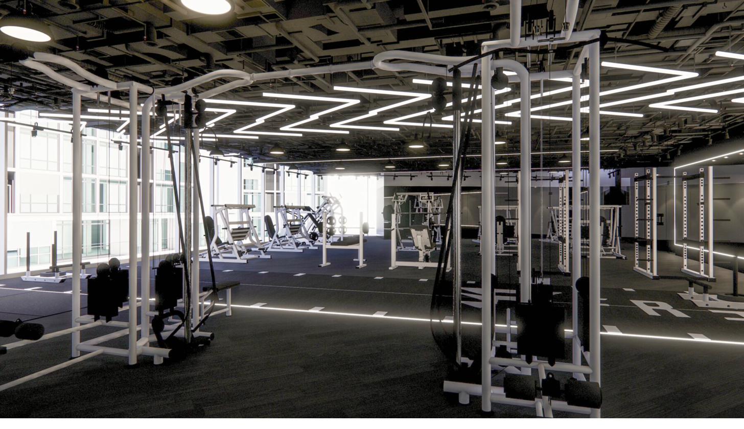 Freedom Gym Singapore — premium strength and conditioning facility